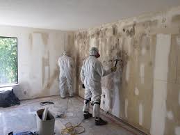 Best Industrial Mold Remediation  in Brilliant, OH